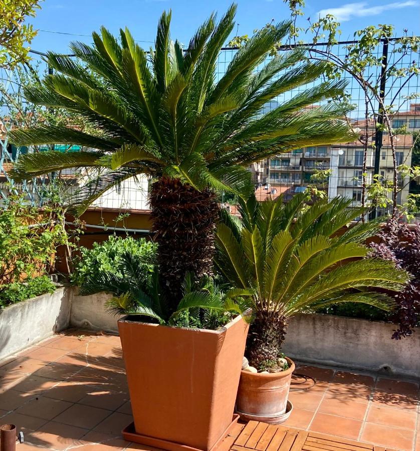 Il Giardino Sospeso Di Anna Florença Exterior foto